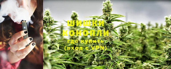 PSILOCYBIN Медвежьегорск