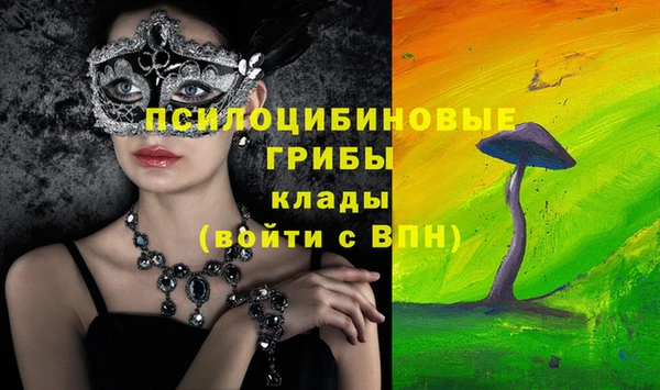 PSILOCYBIN Медвежьегорск